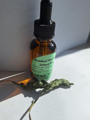 Plantain Infused Oil 1oz -Helps with Insect Bites, Stings, Rashes and Burns