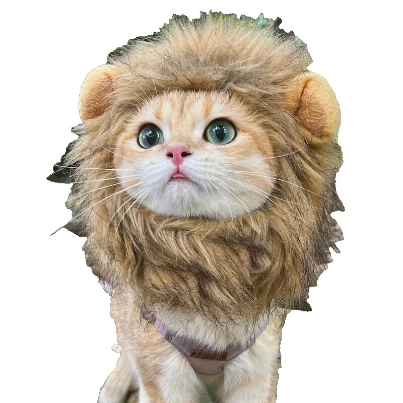 Animals & Nature Brown Cat Costumes