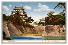 Castle View At Nagoya Japan Postcard
