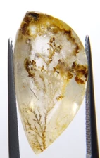 IP16  Dendrite Quartz 15.90ct 23x11x6mm free form picture stone garden branches