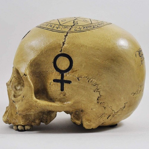 Skull Ornament With Black Witchcraft Symbols & Text Decoration (01086) - Picture 5 of 6
