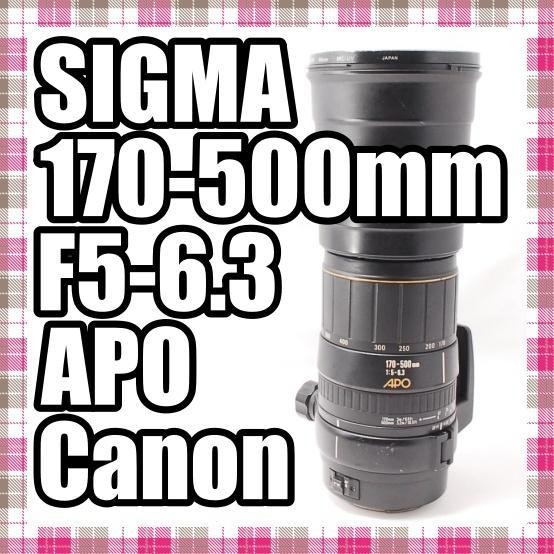 Super Telephoto SIGMA 170 500mm F5 6.3 APO for Canon | eBay