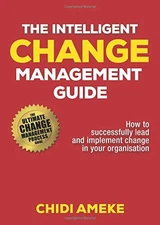 THE INTELLIGENT CHANGE MANAGEMENT GUIDE: HOW TO By Chidi Ameke **BRAND NEW**