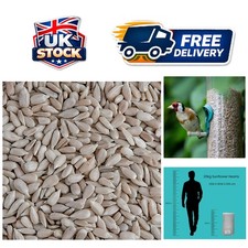 Ideal 20kg Bird Feed – Husk-Removed Sunflower Hearts for All Birds 5.99 per kilo