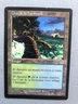 Mtg Carte Magic Apocalypse Yavimaya Coast French LP/MP