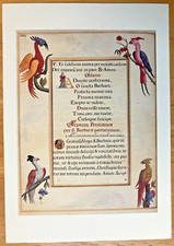  on The Hot Collector