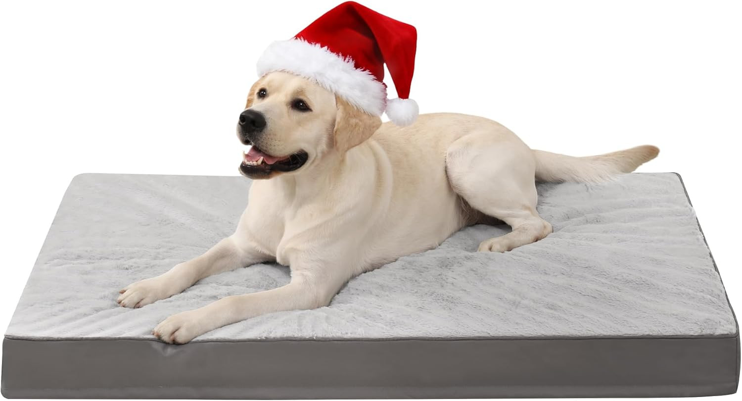 Cuccia Cane Interno Taglia Grande XL Ortopedica: Riposo Top per Fido