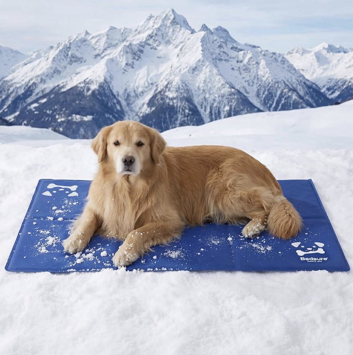 Alfombra de gel de enfriamiento para perros Bedsure XL 120x75 cm resistente a arañazos 300D tela Oxford azul
