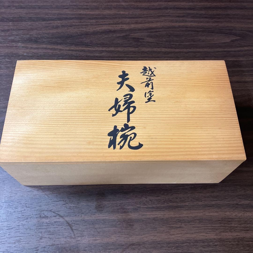 Japan Echizen Lacquerware Couple Bowls Traditional Japanese Dinnerware Set