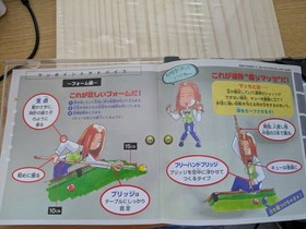 SEGA SATURN Soft Side Pocket 3 SEGA SATURN Billiards