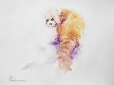 Ailurus,  Animals, Watercolor artwork, Handmade,Original painting on paper