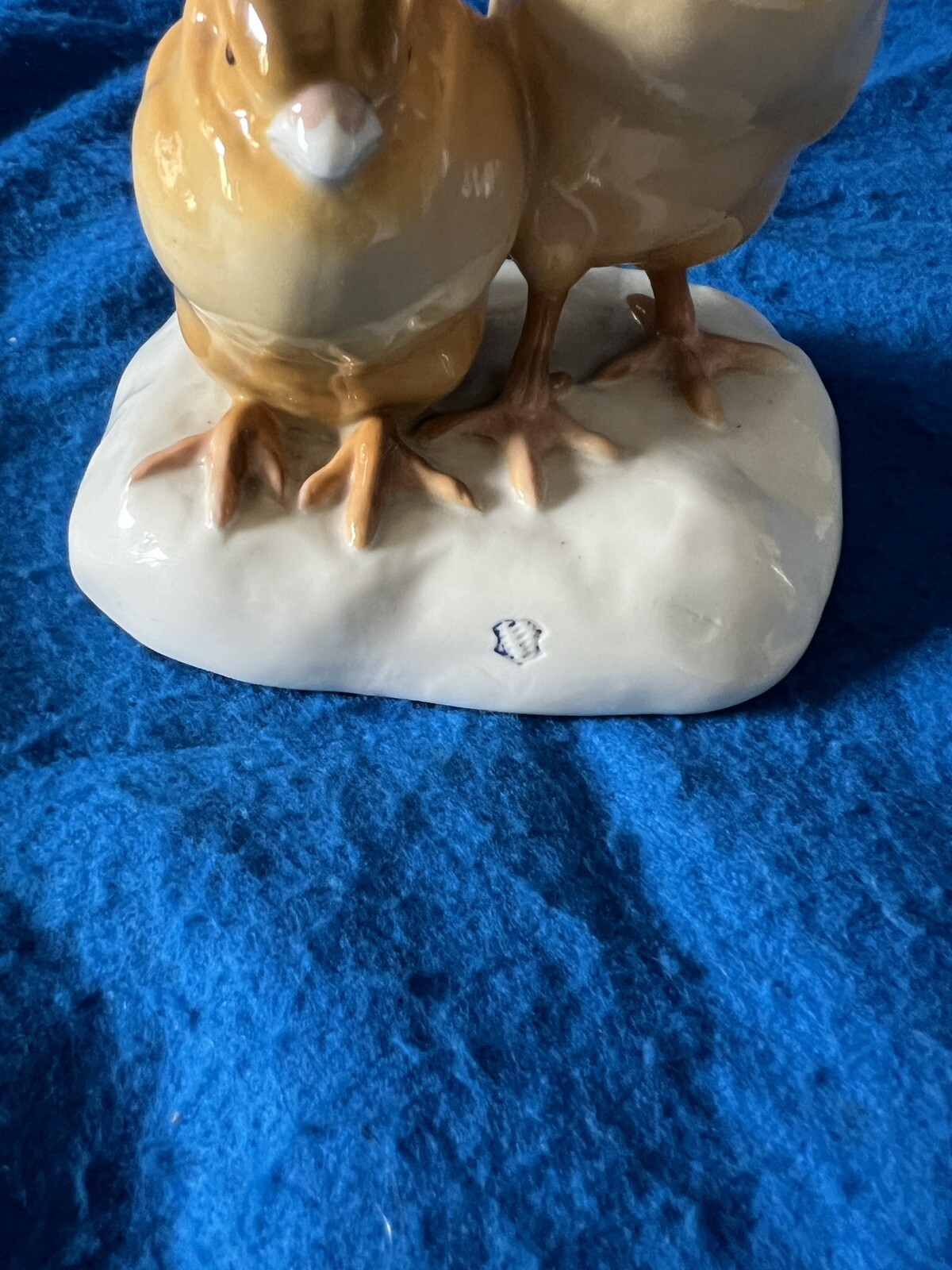 Foto 2 di 13