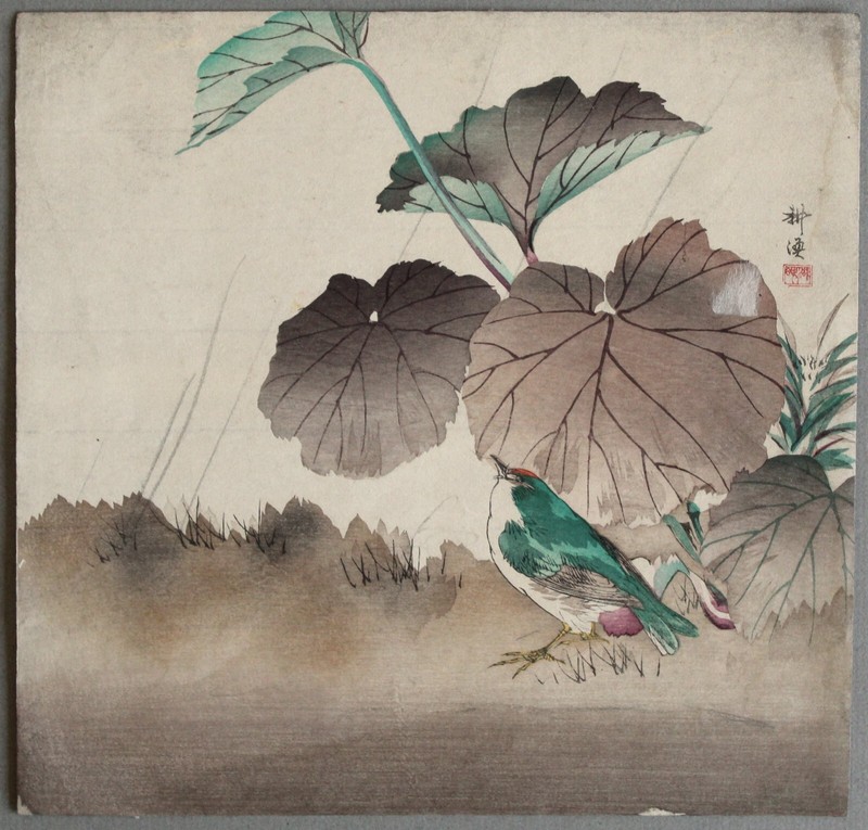 Tsukioka Kogyo Japanese Meiji Kacho-e Woodblock Print Bluebird and Waterlily