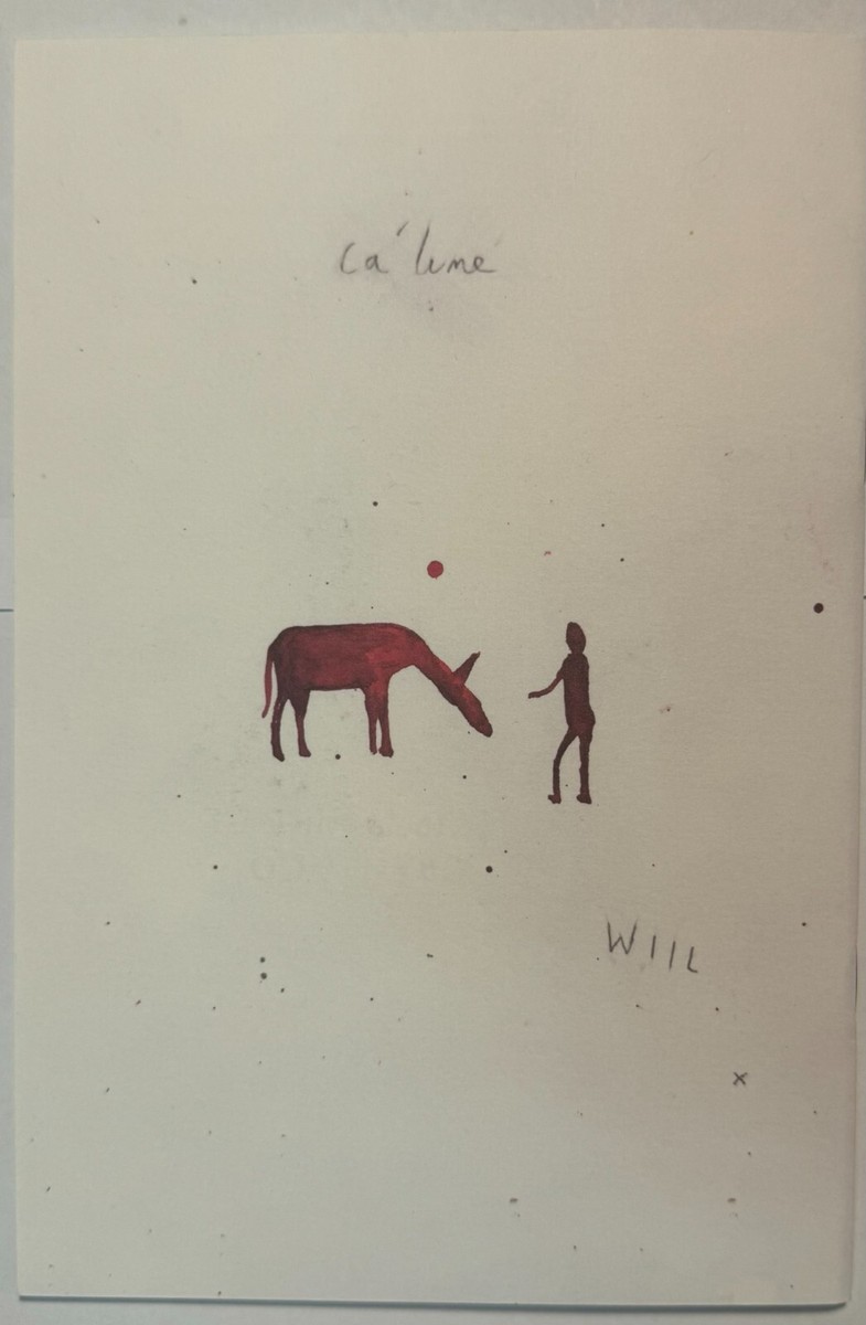 Mark Borthwick; Will Shine light up | eBay