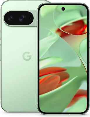 Google Pixel 9 Wintergreen 256GB 12GB RAM - 6,3 Zoll KI-Assistent Brandneu
