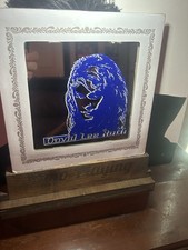 David Lee Roth Vintage Fair mirror original