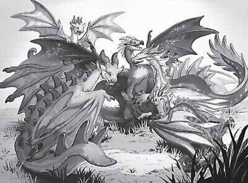 Wings of Fire #1 - Hardcover by Tui T. Sutherland - Japanese Edition  Book - Picture 4 of 11