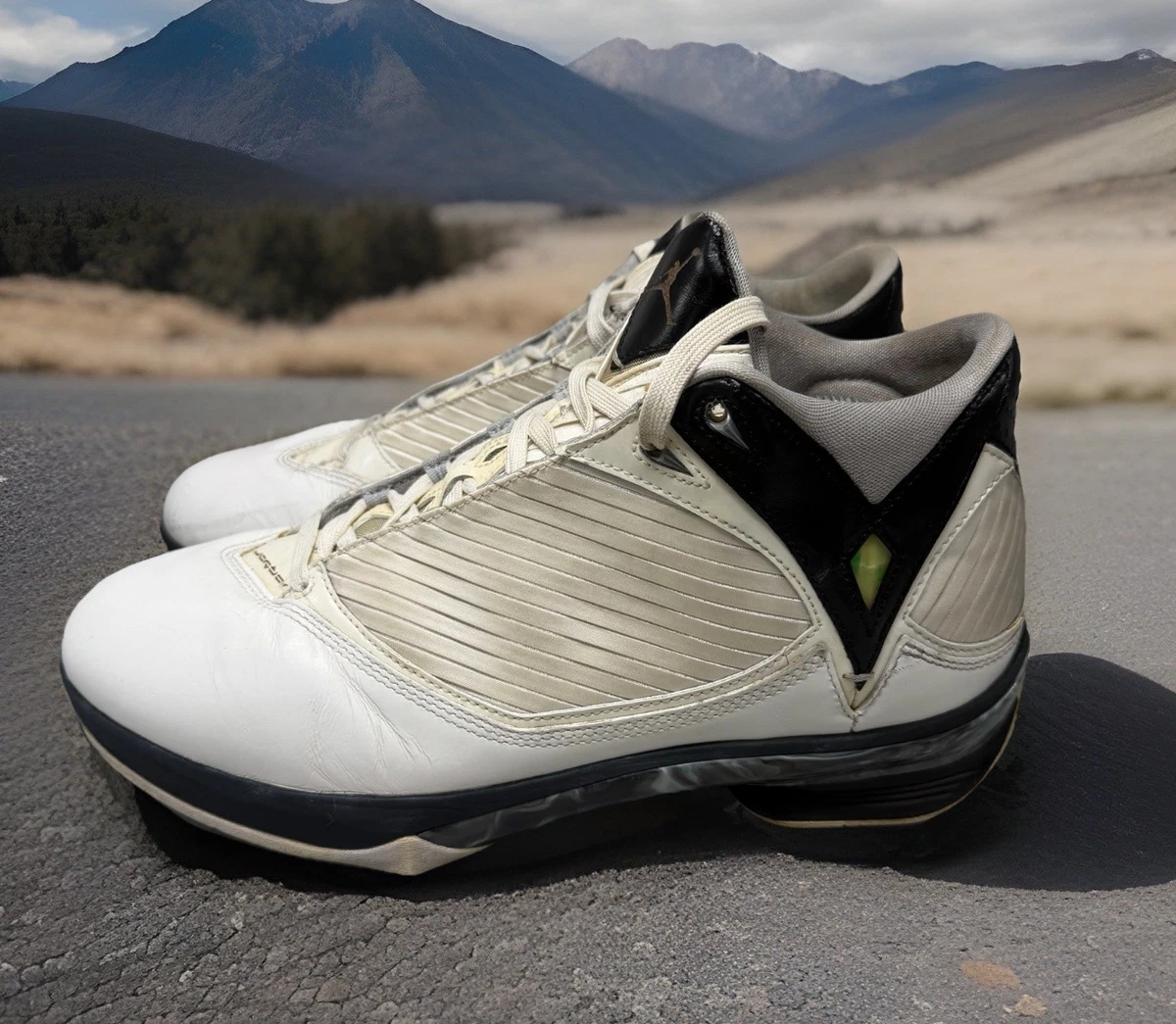 Jordan 2009 for Sale | Authenticity Guaranteed | eBay