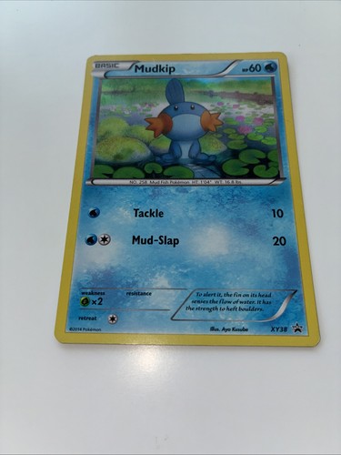 Pokémon TCG Mudkip XY38 Holo Black Star Promo Card 2014 LP Condition