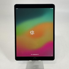 Apple iPad Pro 10.5 Space Gray 256GB Unlocked - White Spots