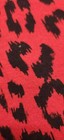 Bild 7 von 8