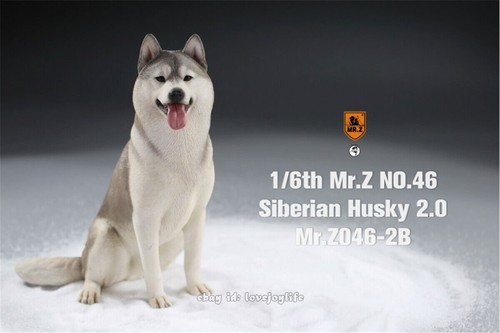Mr.Z&JXK 1/6 Siberian Husky 2.0 Dog Pet Figure Huskie Animal Model Toy Kid Gift - 第 31/42 張圖片