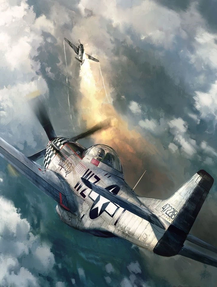 Modelo de avión de la Segunda Guerra Mundial avión 1 caza militar USAF carrusel negro 32 48 Foto 4 de 4