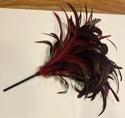 Ostrich Feathers Large 26  Plume Red Ostrich Feather Centerpiece Craft Holiday
