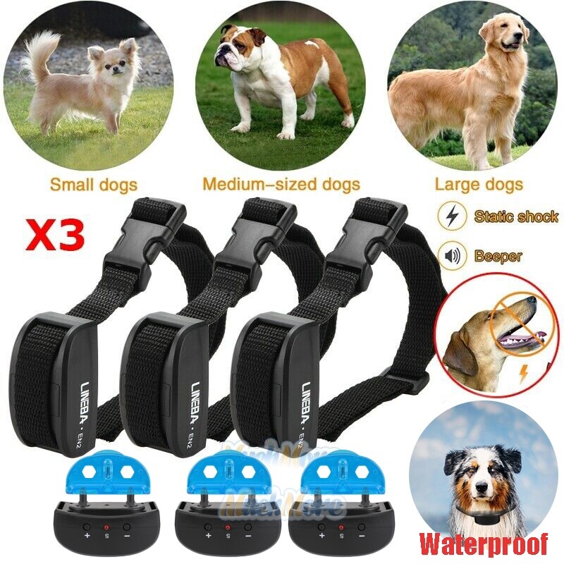 Leash Barking How To Train My Dog To Stop Barking At Other Dogs 3x