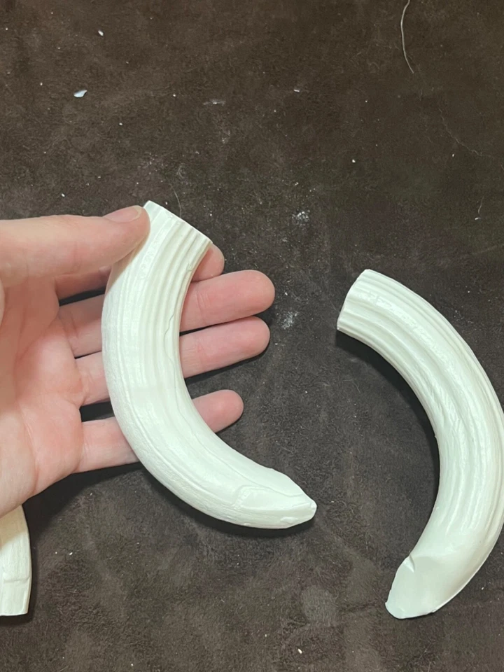 Resina reproducción colmillo canino hipopótamo superior sin pintar para 1  Foto 3 de 4
