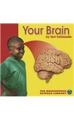 Your Brain Hardcover Terri DeGezelle