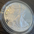PROOF American Silver Eagle with Case - 1 oz .999 Silver Verified - 2021 - Lot D