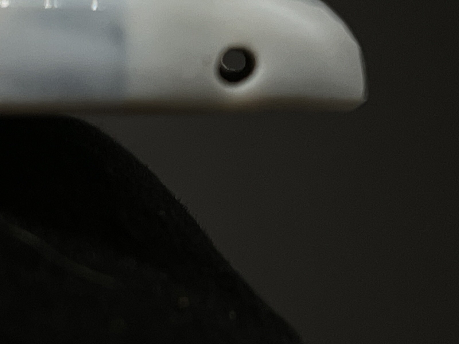 Foto 4 di 5