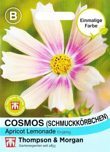 Schmuckkörbchen 'Apricot Lemonade' Cosmos bipinnatus Landhausgarten