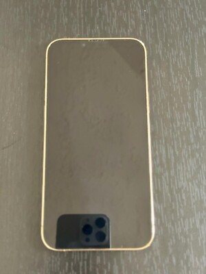 Apple iPhone 13 Pro Max - 128 GB - Gold (Unlocked) (Single SIM)