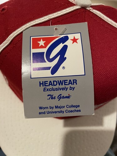 Vintage The Game Detroit Red Wings Hat Snapback Rare NHL Official Hockey Genuine - Picture 2 of 5