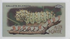 2020 Topps Allen & Ginter Chrome Mini Buggin' Out! Calleta Silkmoth #MBOC-8 9r7