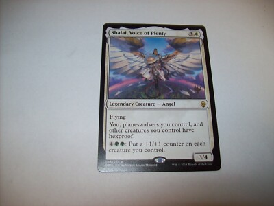 Shalai, Voice Of Plenty [35] [Dominaria] [Non-Foil] – Face To Face Games - Foto 10