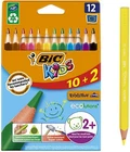 BIC Kids Evolution Triangle ECOlutions Colouring Pencils Assorted - Pack of 12