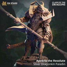 Silver Dragonborn Paladin Miniature DnD Dragonkin Hero Armored Dragonborn
