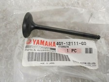 Yamaha TT250R 1993-2004 Genuine Inlet Intake Valve New OE 4GY-12111-00