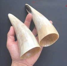 2 Pcs Horn Cupping Tool Therapy Massager Cup Gua Sha Relax Tool