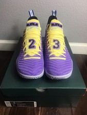 lebron 16 lakers championships