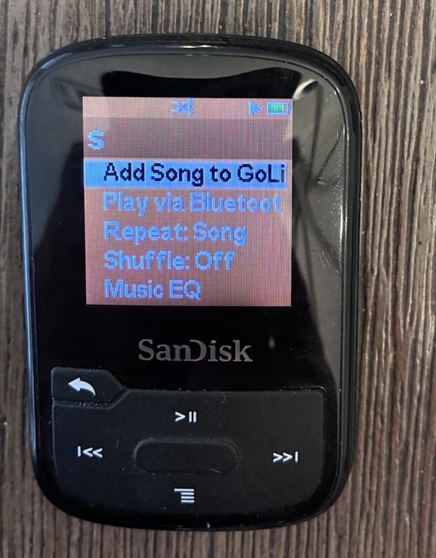 16gb - Model Sdmx28 - Black Works No Clip