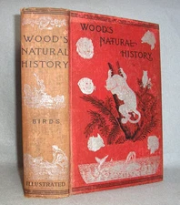 Antique Decorative Animals Book Wood's Natural History Birds Ornithology c.1890s
