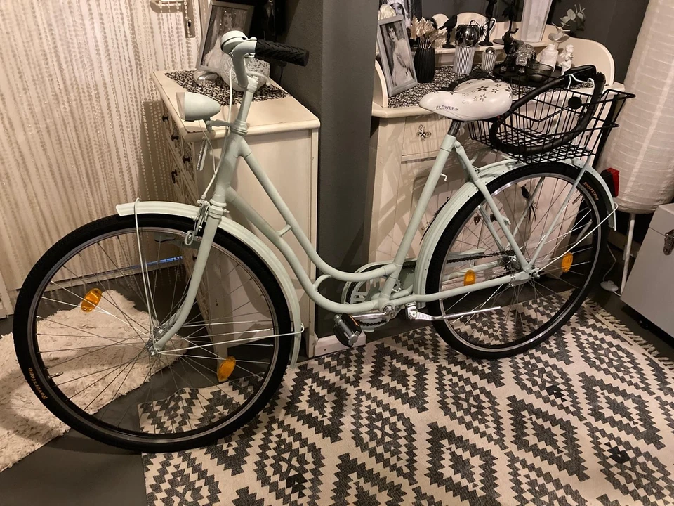 Damen Fahrrad Neu mit Rücktrittbremse 28 Zoll