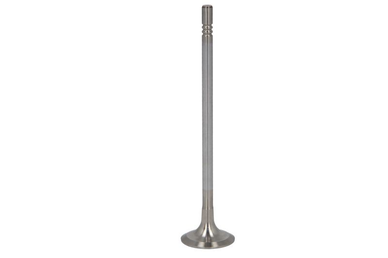 Fits TRW 331159 Exhaust valve 331159 As part of ZF Aftermarket, every ⭐UK Stock⭐
