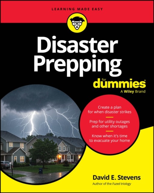 Disaster Prepping For Dummies by David E.  Stevens (Paperback Book)