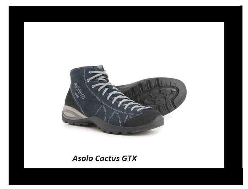 New Asolo Cactus GV Gore-Tex Hiking Boots Mens Retail $190 New Asolo Cactus GV Gore-Tex Hiking Boots Mens Retail $190