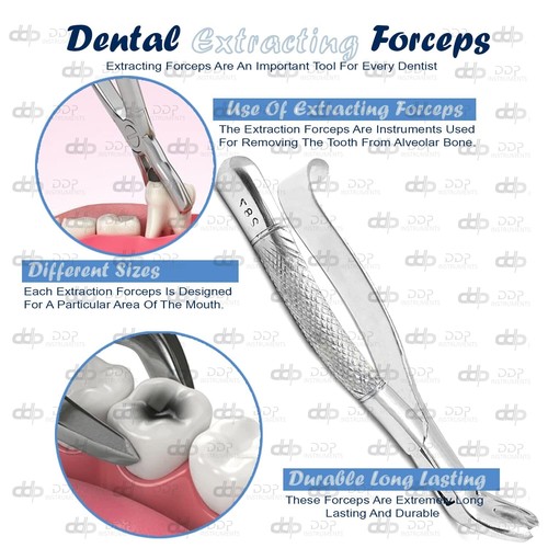 Pinza per estrazione denti dentale #287 con mascelle seghettate - Foto 2 di 4